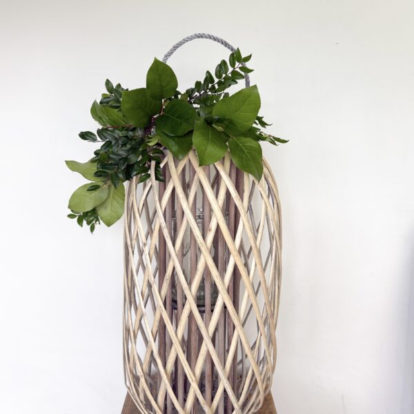 601 (medium lantern 24x11)