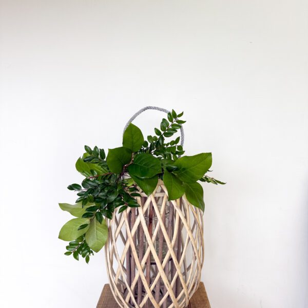 501 (small lantern 16x10)